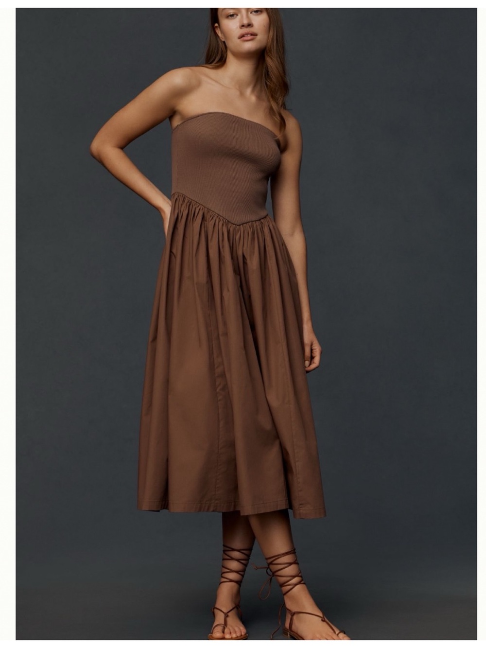 NWT Anthropologie Strapless Basque-Waist A-Line Midi Dress - Picture 8 of 8